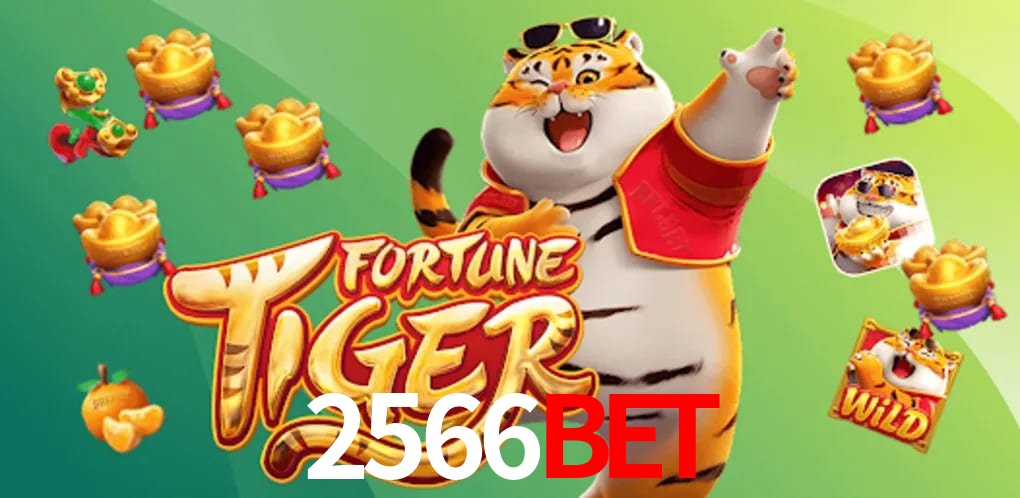 Statistics 2566bet